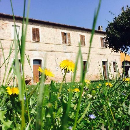 Il Rudere Bed and Breakfast Ravenna Buitenkant foto