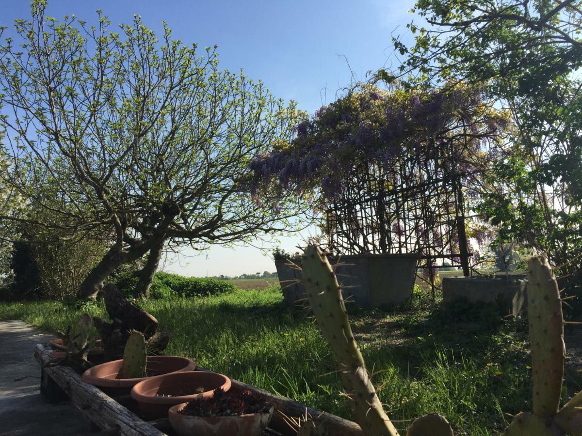 Il Rudere Bed and Breakfast Ravenna Buitenkant foto