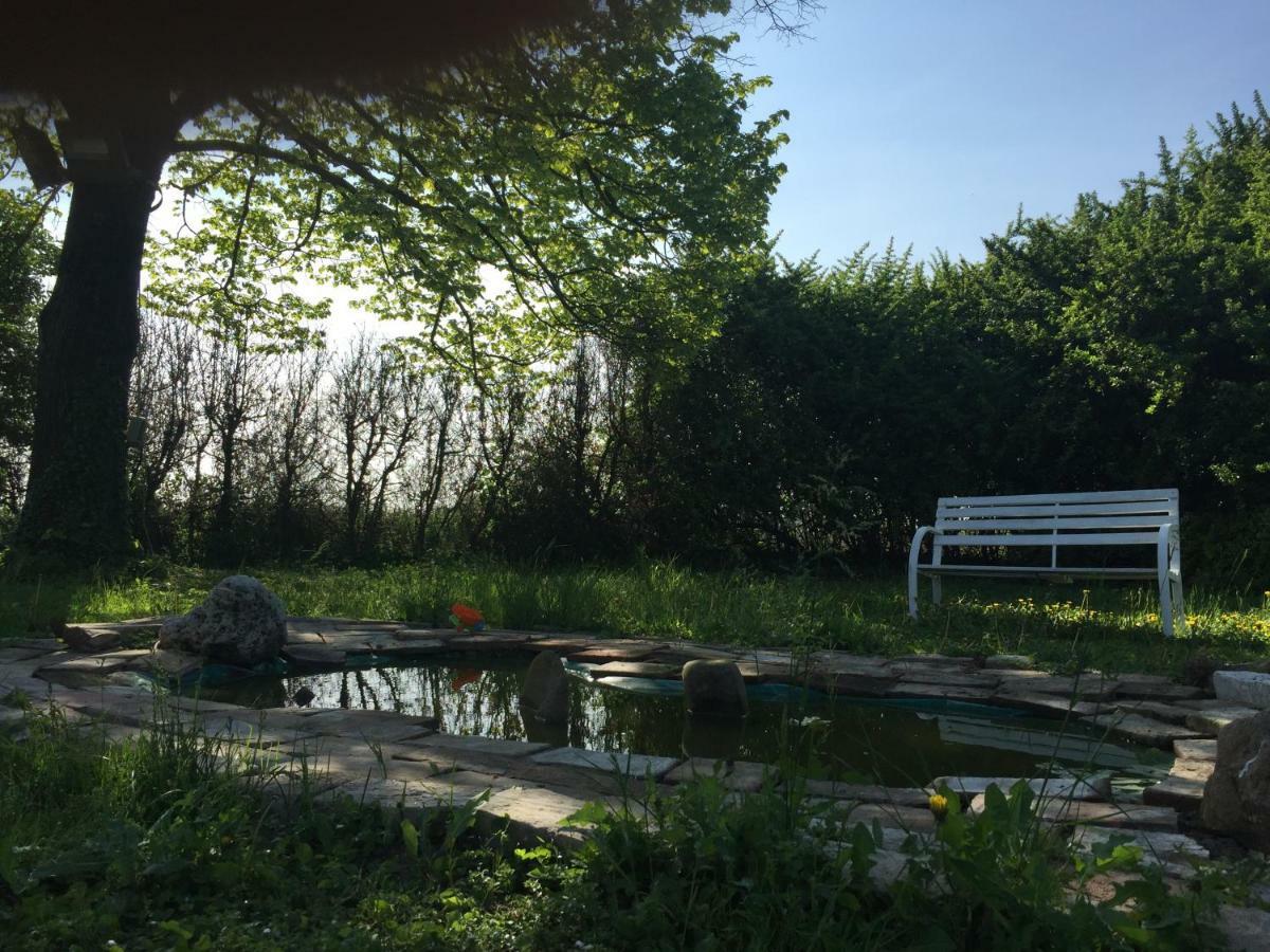 Il Rudere Bed and Breakfast Ravenna Buitenkant foto