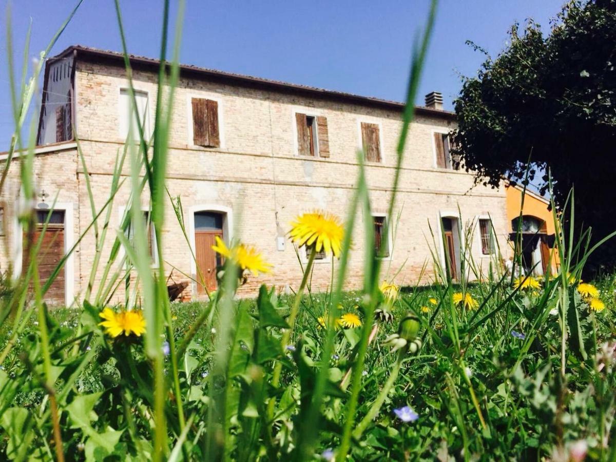 Il Rudere Bed and Breakfast Ravenna Buitenkant foto