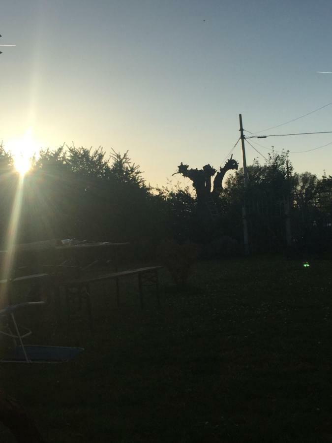Il Rudere Bed and Breakfast Ravenna Buitenkant foto